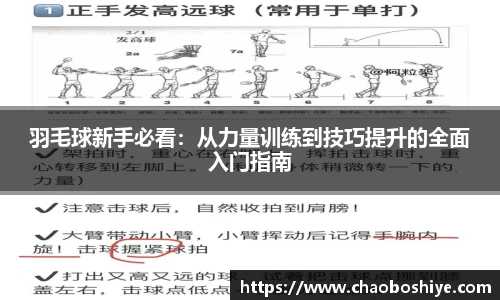 完美体育官网
